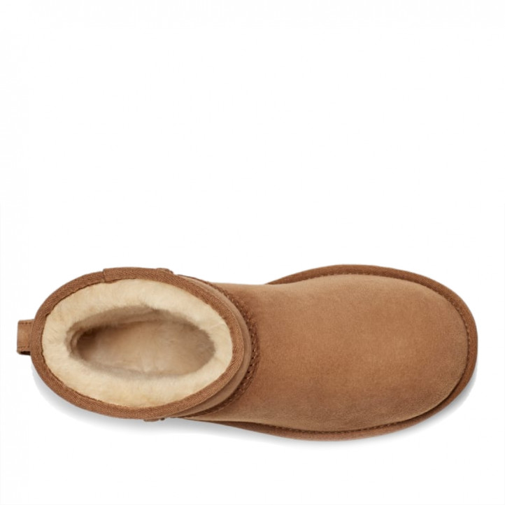 Botines planos UGG Chestnut  Classic Mini II - Querol online