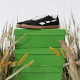 Zapatillas deportivas Saye '70 dart - black suela caramelo - Querol online