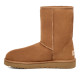 Botes australianes UGG Classic Short II color chestnut - Querol online