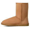 Botes australianes UGG Classic Short II Chestnut
