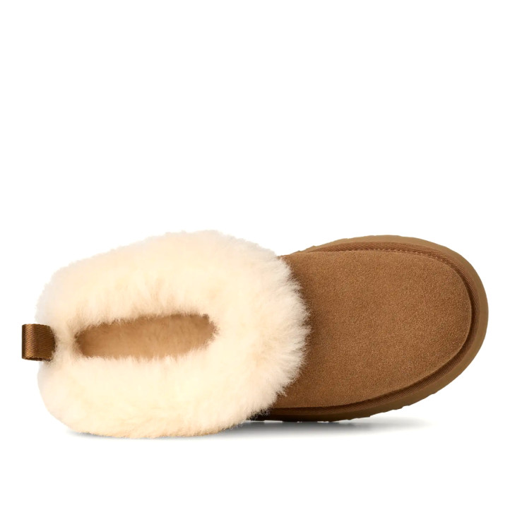 Zuecos UGG Tazzelle Chestnut - Querol online