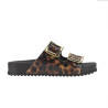 CHANCLAS DE MUJER ZAXY PARTNER NEW AD MARRON