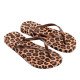 CHANCLAS DE MUJER IPANEMA ANIMAL PRINT VII FEM BEIGE/BRONZE/BROWN - Querol online