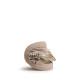 BOTINES DE NIñO MTNG KIDS FREE BABY BEIGE 49068 63412 - Querol online